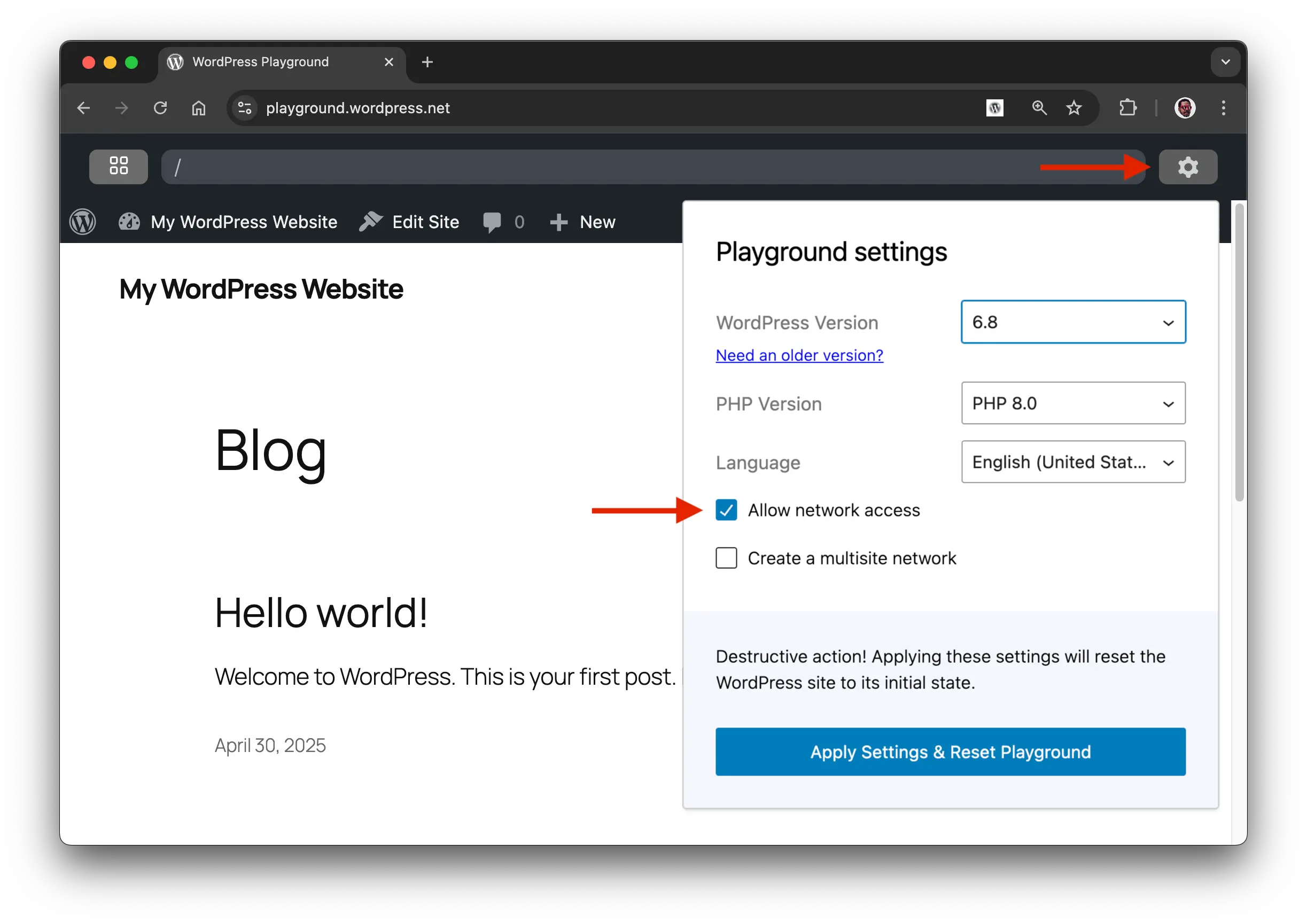 Playground Setting panel displaying the option to allow network access checked